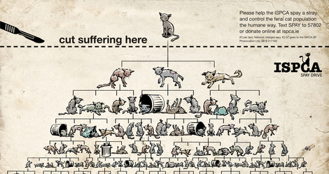 Ispca-low