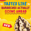 Hb-tasteslike-bbqs