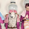 Energia-hairdressers-farms