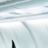 Aer-lingus-cara-2