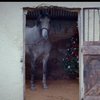 Open-uri20121119-2-1vxo2fb-0