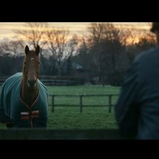 Horseware / Rugs for Life
