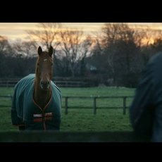 Horseware / Horseware: Rugs for Life