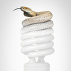 Snakebulb-ad-v3-tvads