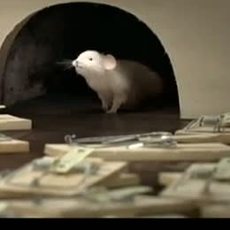 LowLow / Mouse