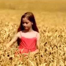 Brennans Bread / Field