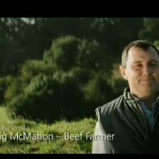 Bord Bia / Quality Mark