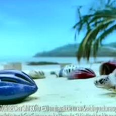O2 / Turtles
