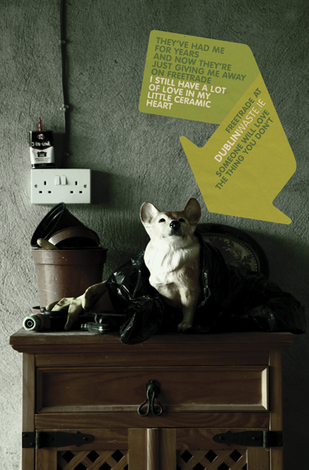 1265289125-dcc-freetrade-dog-lr