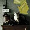 1265289125-dcc-freetrade-dog-lr