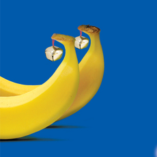 Fyffes / fyffes elf shoes