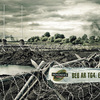 Tg4mag-2