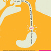 Ocf-poster