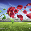 O2-rugby-rose