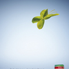 44465-b.tea-specialitymint