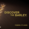 Discovery-48-sheet-barley