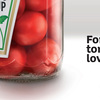 75102232-ketchup-48-sheet-2