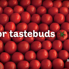 Heinz / Ketchup - Tastebuds