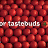 75102232-ketchup-48-sheet-1