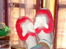 Con_le_ali_ai_piedi