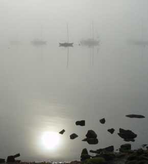 Harbor-fog-1-ws1_medium