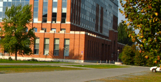 Slide 5