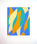 Riley_fold