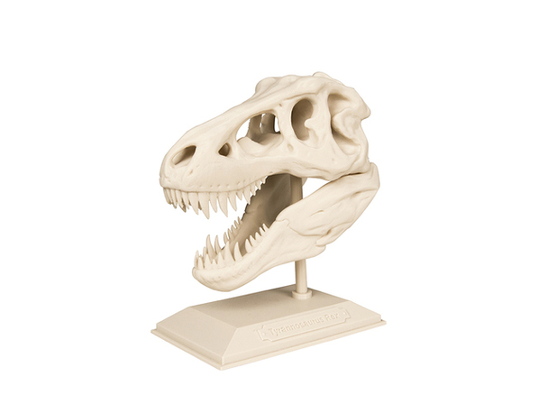 craneo-t-rex-impreso3D Imagen creada por Makerbot