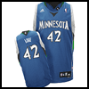 Minnesota Timberwolves