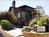 A Swift Escape::BedAndBreakfast.com