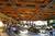 Treasure Island - TI::ZoomAndGo