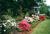 Reflections - A B&B::LanierBB.com