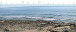 Crystal Cove State Beach