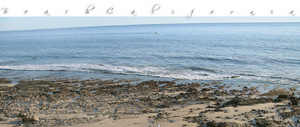 Crystal Cove State Beach::D.Stock