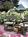 Royal Scandinavian Inn::Expedia