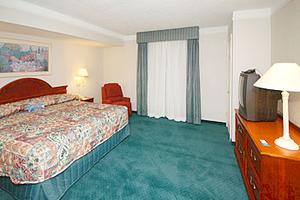 Web-msy_lqve-rooms-1