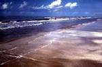 Sea Rim State Park::Texas Parks and Wildlife Department