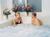 The Suites Of 800 Locust Street::Orbitz