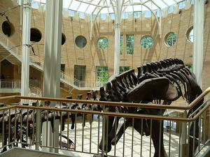 Fernbank Museum of Natural History::Farm4.static.flickr.com