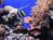Holiday Inn Express Hotel And Suites Watsonville from Orbitz