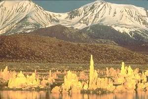 Mono Lake::Monolake.org