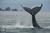 Allens Alaska Adventures::BedAndBreakfast.com