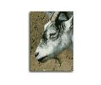 Van Saun County Park / Bergen County Zoological Park