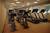 Crowne Plaza San Francisco International Airport::Orbitz