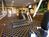Best Western Olympic Lodge::Priceline.com