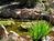 Orchard Hill Country Inn::BedAndBreakfast.com