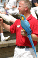Tn-john_macaw