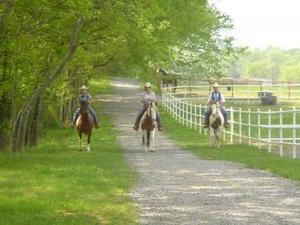 Clearview Horse Farm B&B::BedAndBreakfast.com