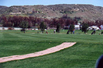 Pierce Park Greens