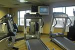 Tn-lou_wood-fitns-1